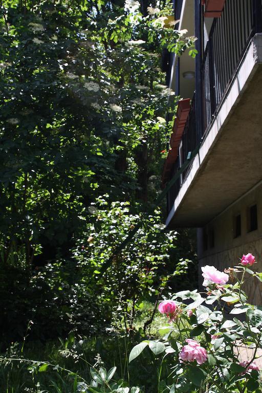 Highland Apartment Budapest Værelse billede